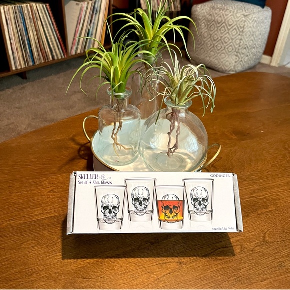 Skeleton Shot Glasses Set of 4 New In Box💀 - Picture 6 of 7